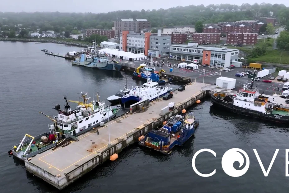 COVE Demo Day